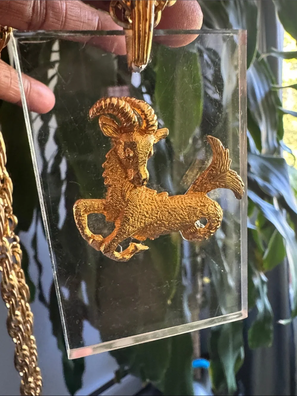 Vintage monet capricorn